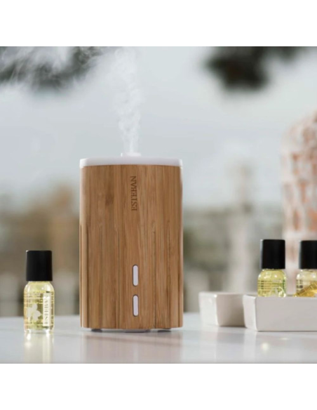 ESTEBAN PARIS DIFFUSORE BRUMA DI PROFUMO - EDITION BOIS & LUMIERE