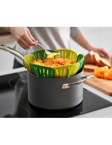 JOSEPH JOSEPH CESTELLO VAPORE - BLOOM