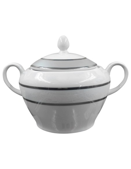 PIERRE CARDIN SERVIZIO PIATTI 46* PEZZI - ROXY PLATINO