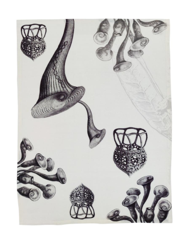 NAPKING STROFINACCIO IN LINO 55 X 75 CM - STENTOR