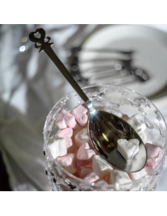 GUZZINI CUCCHIAIO PER CONFETTI - LOVE 2