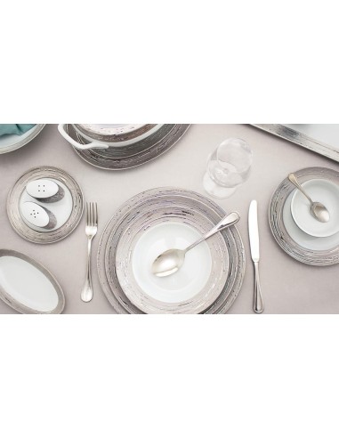 PORCEL SERVIZIO PIATTI 62 PEZZI - ANTAR ARGENTATUS