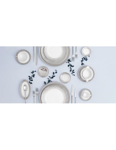 PORCEL SERVIZIO PIATTI 62 PEZZI - ANTAR ARGENTATUS