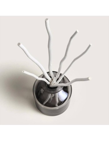 MAISON BERGER DIFFUSORE A STICK 180 ML - AROMA...
