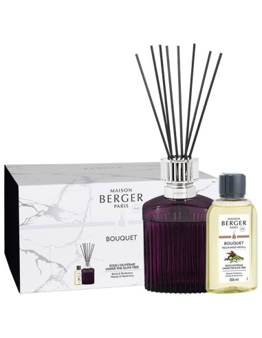 MAISON BERGER DIFFUSORE A STICK 350 ML +...