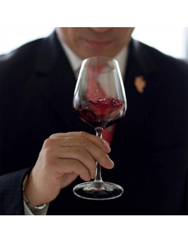 LUCARIS CRYSTAL SET 6 CALICI VINO 70 CL - DESIRE