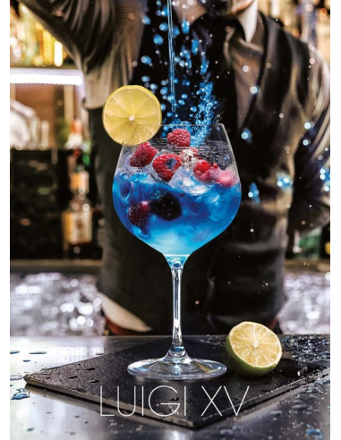 LIVELLARA SET 6 COPPE CHAMPAGNE SERIGRAFATE 35...