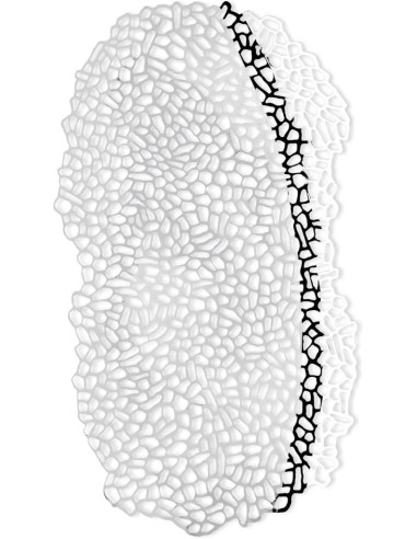 ALESSI CENTROTAVOLA 60 X 34 CM - OPUS