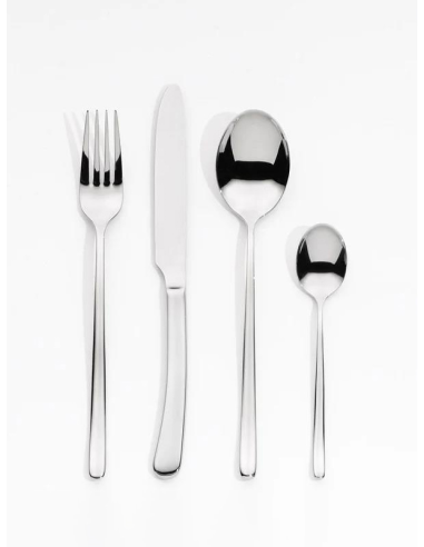 SERAFINO ZANI SERVIZIO 24  PZ POSATE -  SLIM