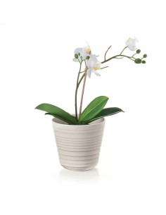 GUZZINI VASO PER PIANTA - TIERRA 