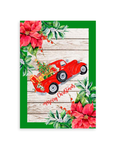 ANNAMARIA STROFINACCIO NATALIZO IN PANAMA DI...