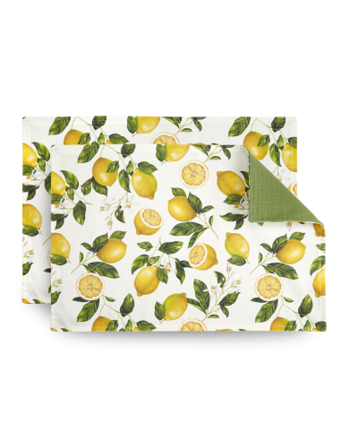 FADE SET 2 TOVAGLIETTE AMERICANE 50 x 35 CM -...