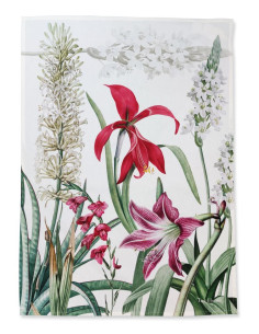 TAG HOUSE STROFINACCIO 58 X 80 CM IN PANAMA DI COTONE -... 2