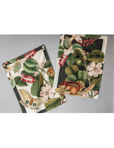 TAG HOUSE STROFINACCIO 58 X 80 CM IN PANAMA DI COTONE -...