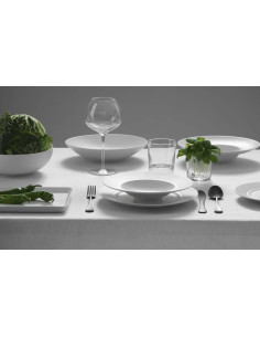 WEISSESTAL SERVIZIO PIATTI 18 PEZZI - TERREA