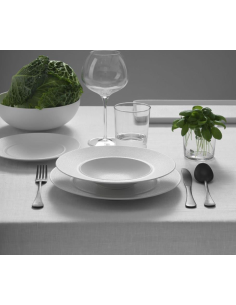 WEISSESTAL SERVIZIO PIATTI 18 PEZZI - TERREA 2