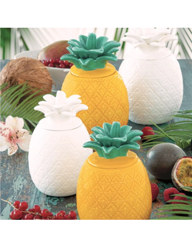 EASY LIFE BARATTOLO ANANAS 11X18 CM - MADAGASCAR