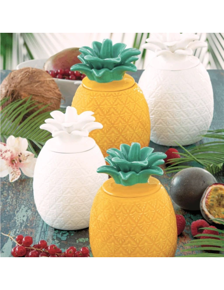 EASY LIFE BARATTOLO ANANAS 11X18 CM - MADAGASCAR