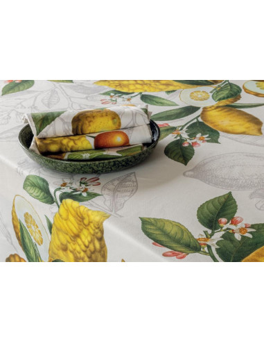 TAG HOUSE TOVAGLIA IN CONTONE STAMPATO - CEDRO