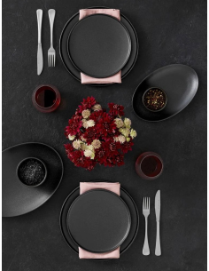 MAXWELL & WILLIAMS SET 4 PIATTI FONDI Ø25CM - CAVIAR 2