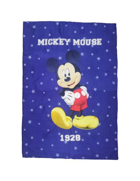 MANTEROL TRAPUNTA 1 PIAZZA 180 X 260 CM DOUBLEFACE - DISNEY DUVET 