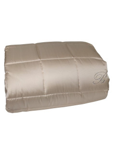 BLUMARINE TRAPUNTA MATRIMONIALE 270 X 265 CM - NOTE BLU 2