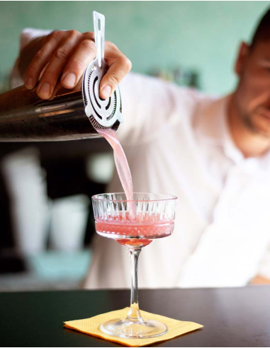 WD LIFESTYLE SET BOSTON SHAKER E STRAINER