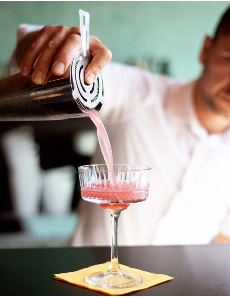 WD LIFESTYLE SET BOSTON SHAKER E STRAINER