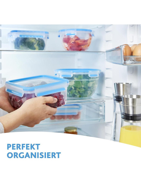 EMSA SET 5 CONTENITORE ERMETICI - CLIP & CLOSE