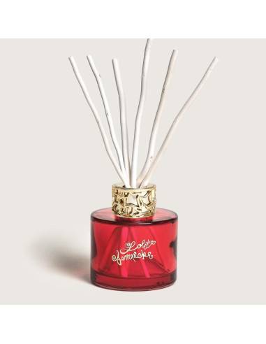 MAISON BERGER COFANETTO DUO MINI BOUQUET 90 ML...