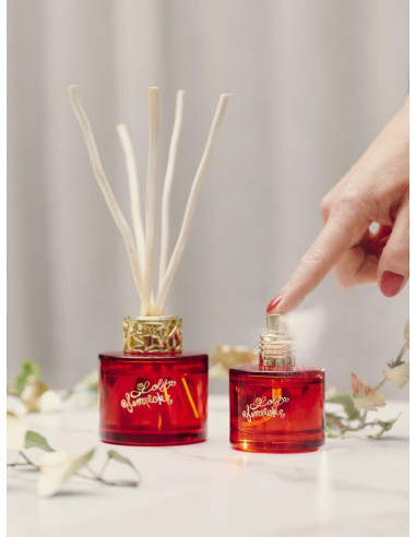 MAISON BERGER COFANETTO DUO MINI BOUQUET 90 ML...