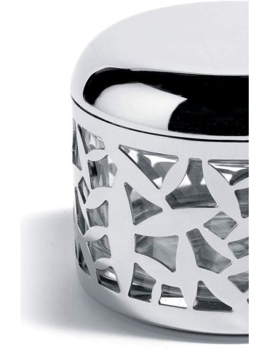 ALESSI FORMAGGIERA - CACTUS!