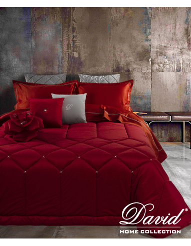 DAVID TRAPUNTA MATRIMONIALE 270 X 270 CM CON...