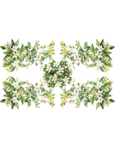 DIGITAL LAB TOVAGLIA IN PANAMA DI COTONE - JASMIN 2