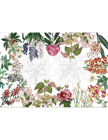 NAPKING TOVAGLIA RETTANGOLARE STAMPATA 100%...