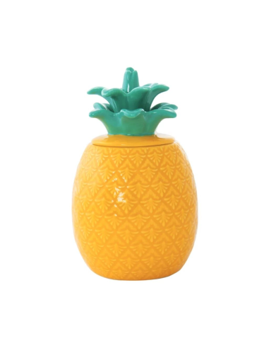 EASY LIFE BARATTOLO ANANAS 9X15 CM - MADAGASCAR