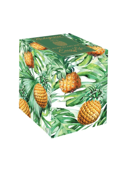 EASY LIFE BARATTOLO ANANAS 9X15 CM - MADAGASCAR