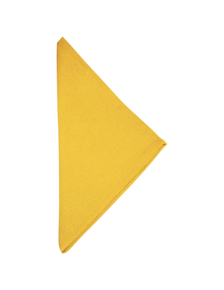 G&G PICCIONE TOVAGLIA TINTA UNITA RETTANGOLARE CON TOVAGLIOLI - ORLO