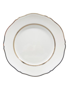 RICHARD GINORI SERVIZIO DI PIATTI 18 PEZZI - ANTICO DOCCIA 2