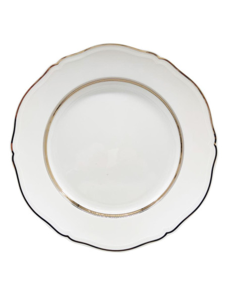 RICHARD GINORI SERVIZIO DI PIATTI 18 PEZZI - ANTICO DOCCIA