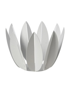 ARTI & MESTIERI AGRUMIERA 27 X H23 CM - FICUS 2