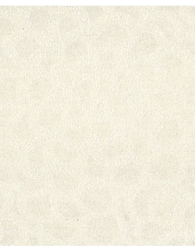 BLUMARINE TOVAGLIA DA 12 RETTANGOLARE 180 X 290...