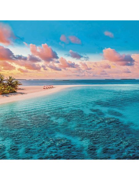 BASSETTI COMPLETO LENZUOLA COPRILETTO 1 PIAZZA 100% COTONE - SOGNO