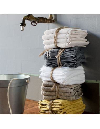 FAZZINI SET 4 LAVETTE 30 X 30 CM SPUGNA DI...