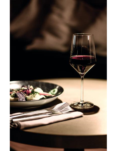 SCHOTT ZWIESEL CALICE VINO ROSSO 54 CL - PURE