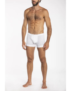 JULIPET BOXER UOMO PARIGAMBA IN PURO FILOSCOZIA - ILICO 2