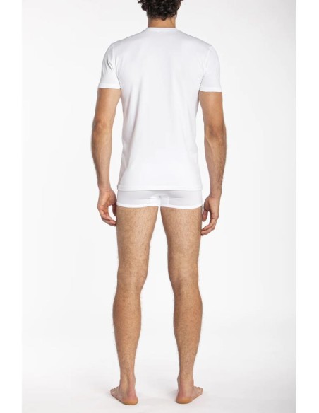 JULIPET MAGLIA UOMO MANICA CORTA GIROCOLLO IN COTONE JERSEY - IMAGE