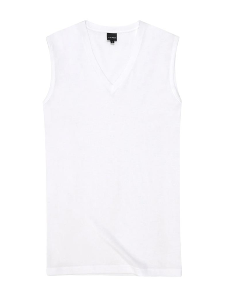 JULIPET MAGLIA UOMO SMANICATA SCOLLO A V IN FILO DI SCOZIA - INA