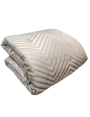 REEVER TRAPUNTA MATRIMONIALE E 2 CUSCINI ARREDO...