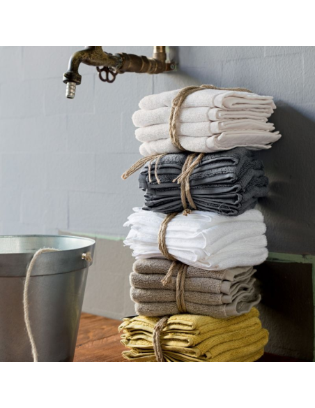 FAZZINI SET 4 LAVETTE 30 X 30 CM SPUGNA DI COTONE 550gr - COCCOLA